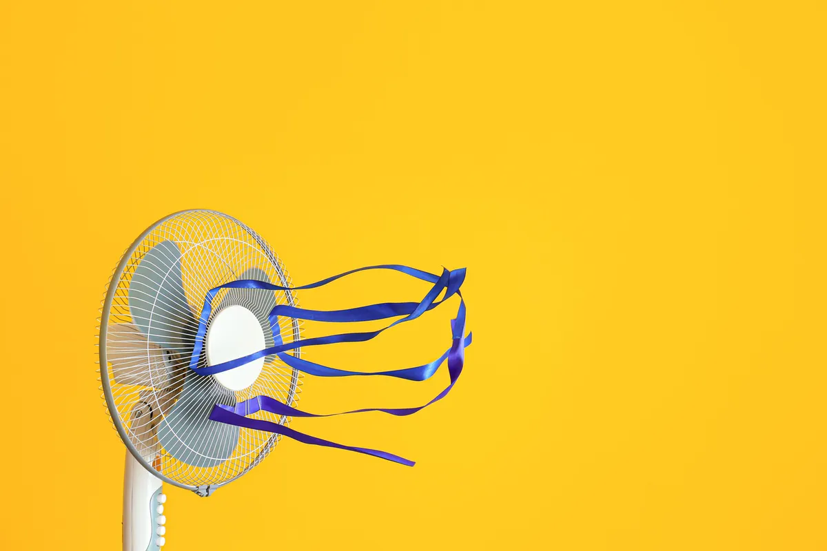 Le vrai du faux de l'énergie et du climat